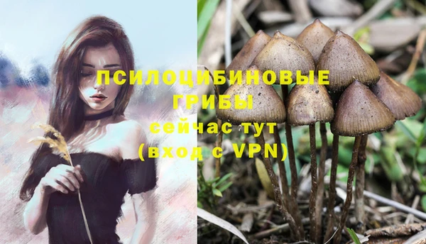 дмт Белокуриха