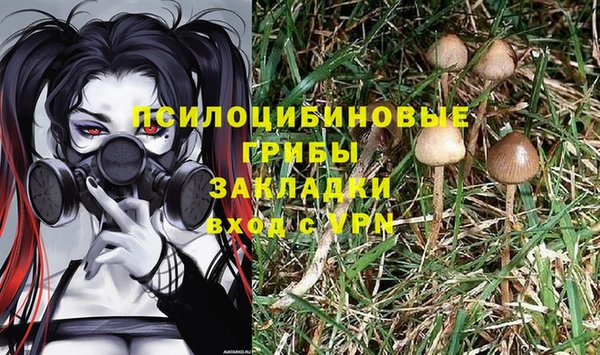 дмт Белокуриха