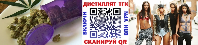 Купить  Ершов  ТГК концентрат 