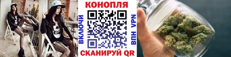 Купить где  Ершов  Бошки марихуана White Widow 